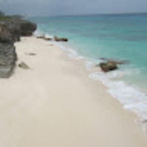 Meet your Posher, Judy